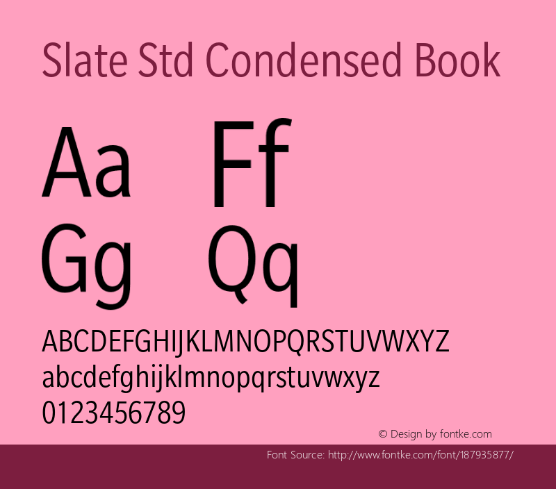 Slate Std Condensed Book Version 1.01, build 10, s3图片样张