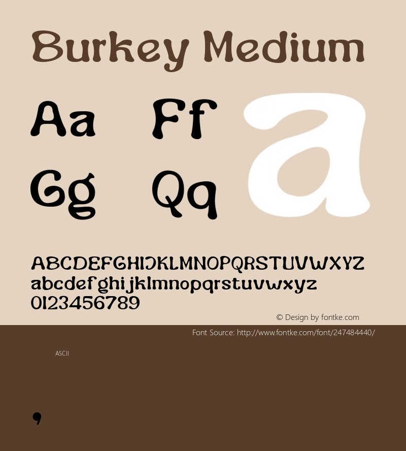 Burkey Medium Version 1.000图片样张