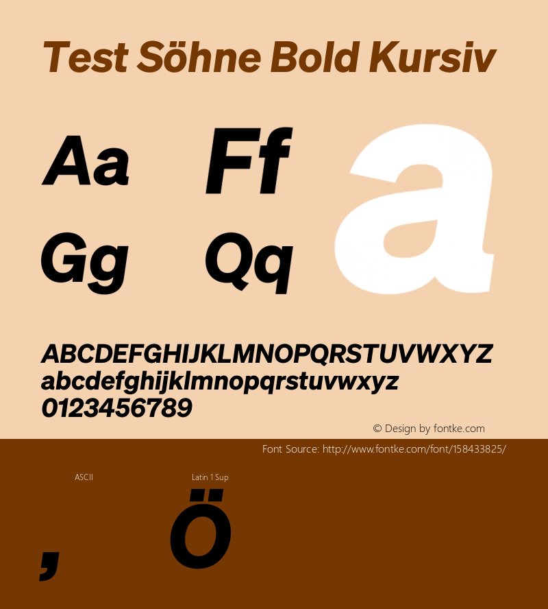 Test Söhne Bold Kursiv Version 1.108;hotconv 1.0.116;makeotfexe 2.5.65601 Font Sample
