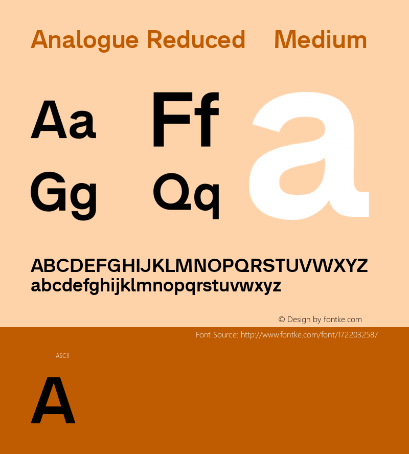 Analogue Reduced 65 Medium Version 5.017图片样张