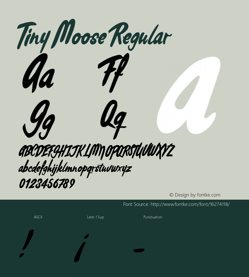Tiny Moose Regular Version 1.001;PS 001.001;hotconv 1.0.70;makeotf.lib2.5.58329 Font Sample