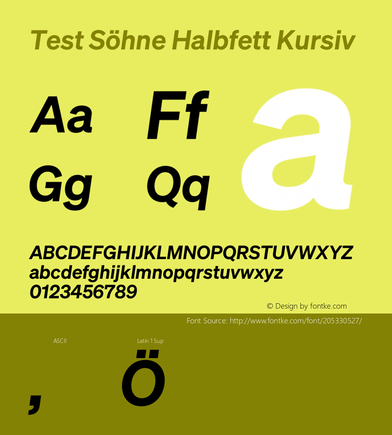 Test Söhne Halbfett Kursiv Version 1.109;hotconv 1.0.116;makeotfexe 2.5.65601图片样张