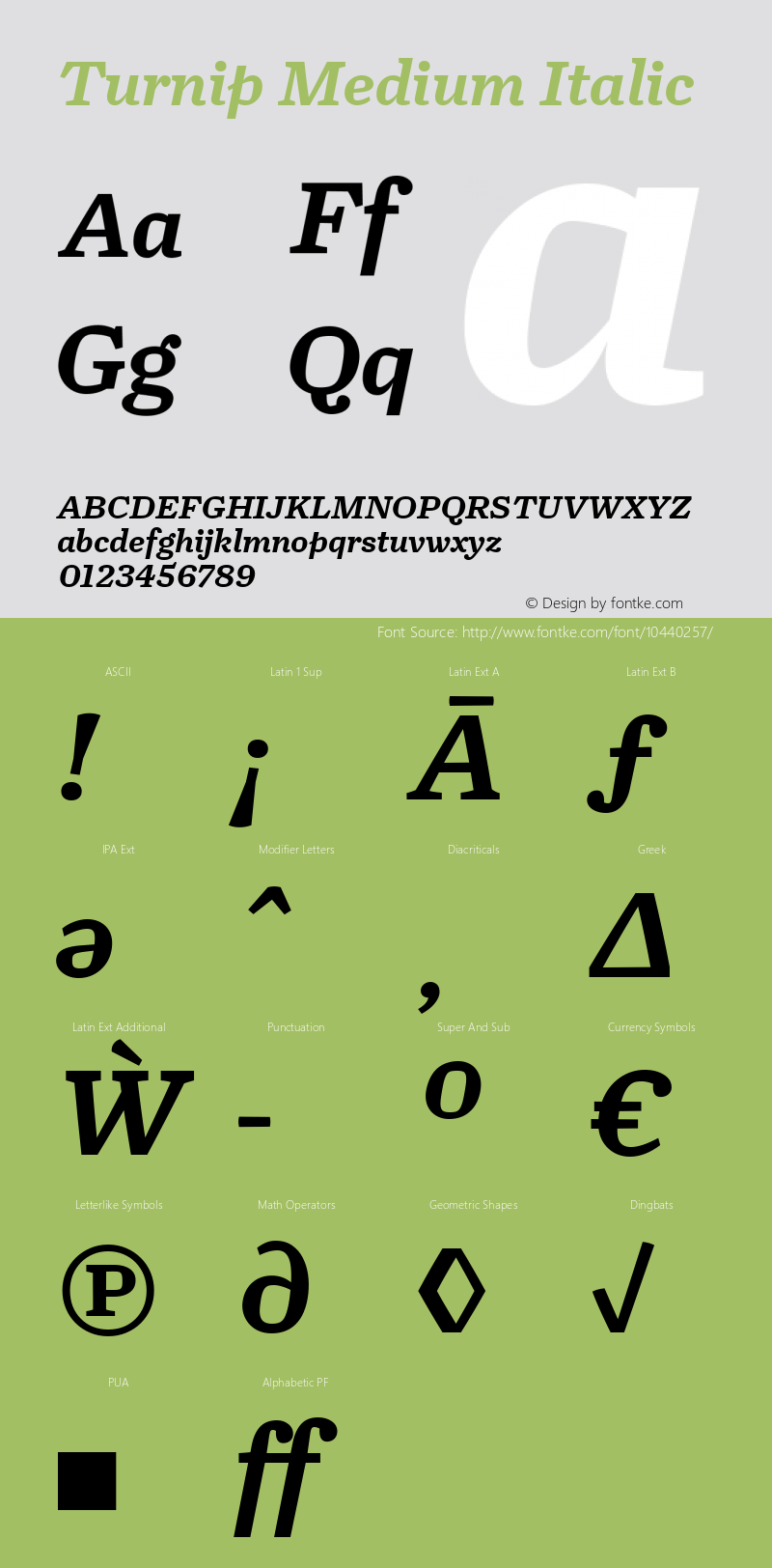 Turnip Medium Italic Version 1.0 Font Sample