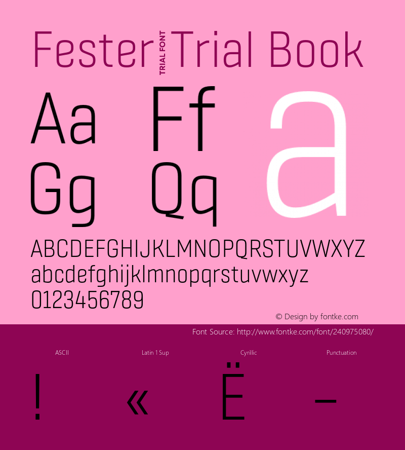 Fester_Trial Book Version 1.000;FEAKit 1.0图片样张