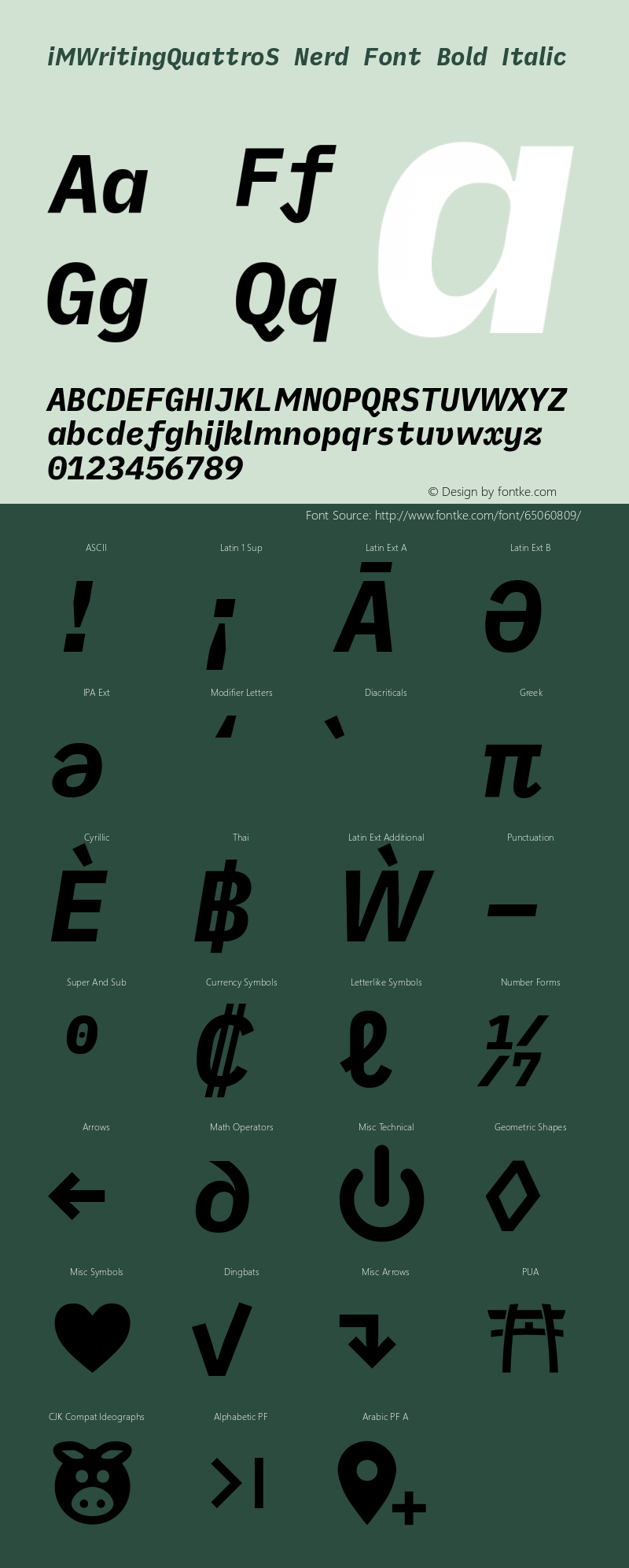 iM Writing Quattro S Bold Italic Nerd Font Complete Version 2.000 Font Sample