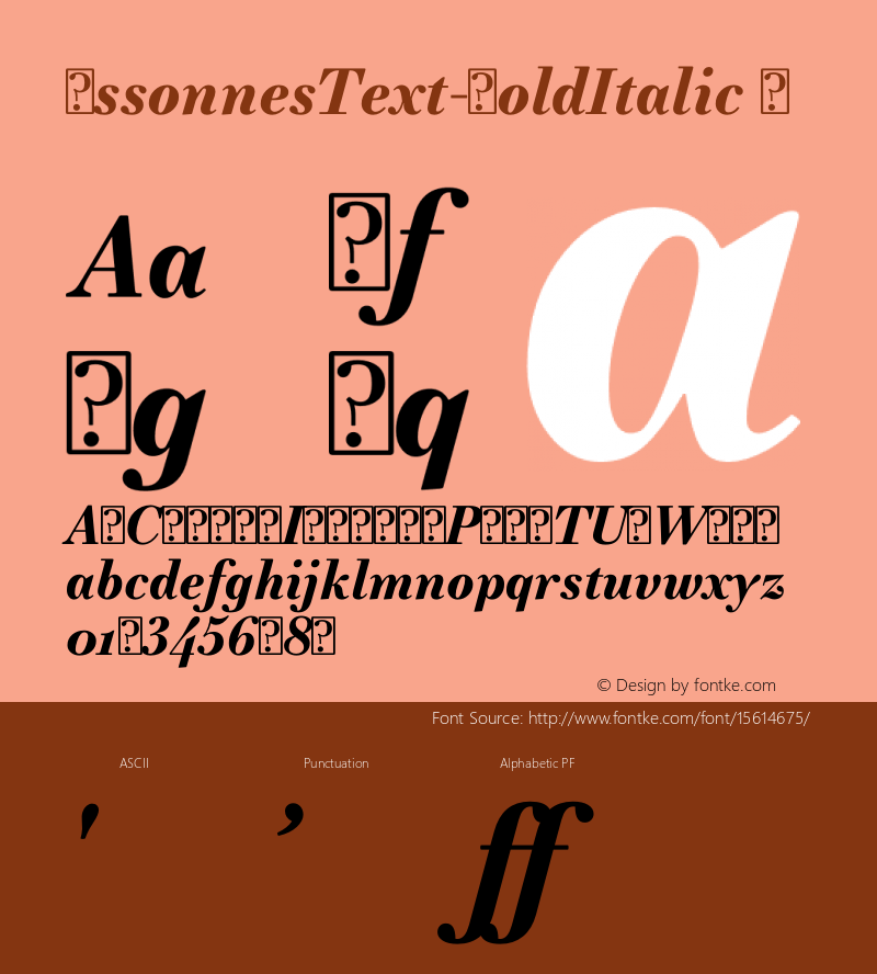 EssonnesText-BoldItalic ☞ Version 1.000 2015 initial release;com.myfonts.easy.james-todd.essonnes.text-bold-italic.wfkit2.version.4t33 Font Sample